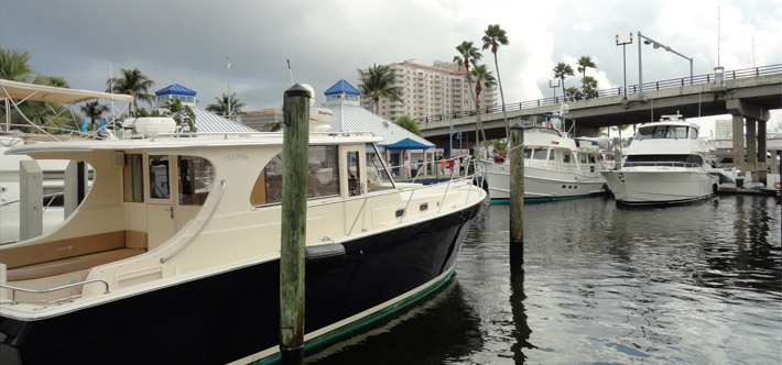 自动攻击网站工具下载